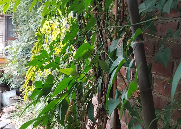 Gongsimga Hanok